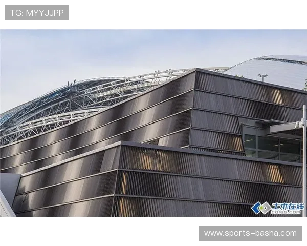 开云官网体育：详细解析运动装备的科技创新与设计理念