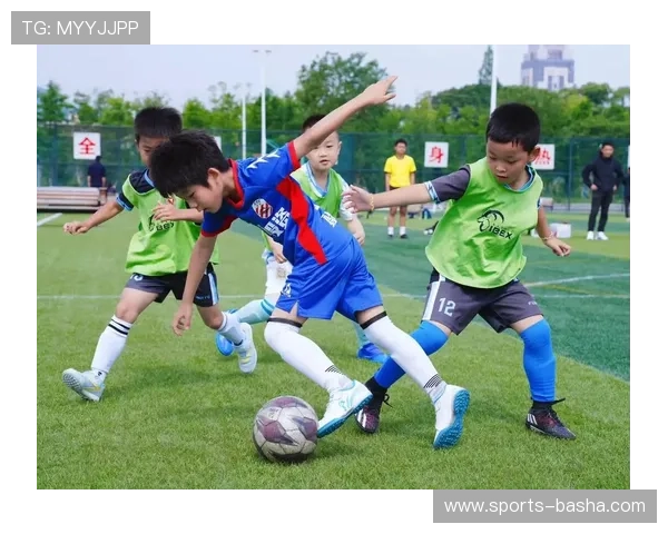 选择伟德体育娱乐让你的每一场比赛激情四溢