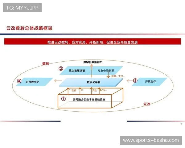 开云备用平台在数字化转型中的关键作用与未来发展趋势分析