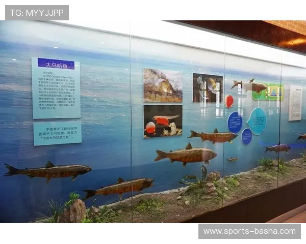 博鱼中国官网最新版本全面上线，带你体验最流畅的线上娱乐体验